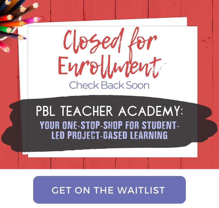 Experiential Educator Online Courses for Teacher Professional Development: PBL