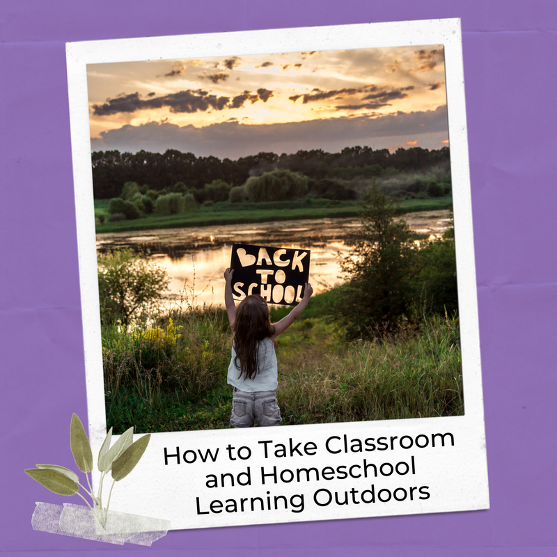 Citizen science projects for students are a way of getting students learning outside. This blog post offers citizen science and a list of many other ways to get kids outside.