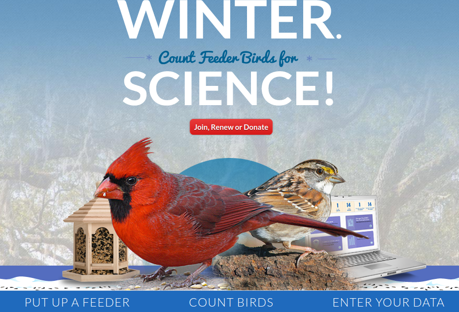 20 Citizen Science Projects for Students of All Ages by Experiential Learning Depot - this is a photo of the citizen science program, Project FeederWatch.