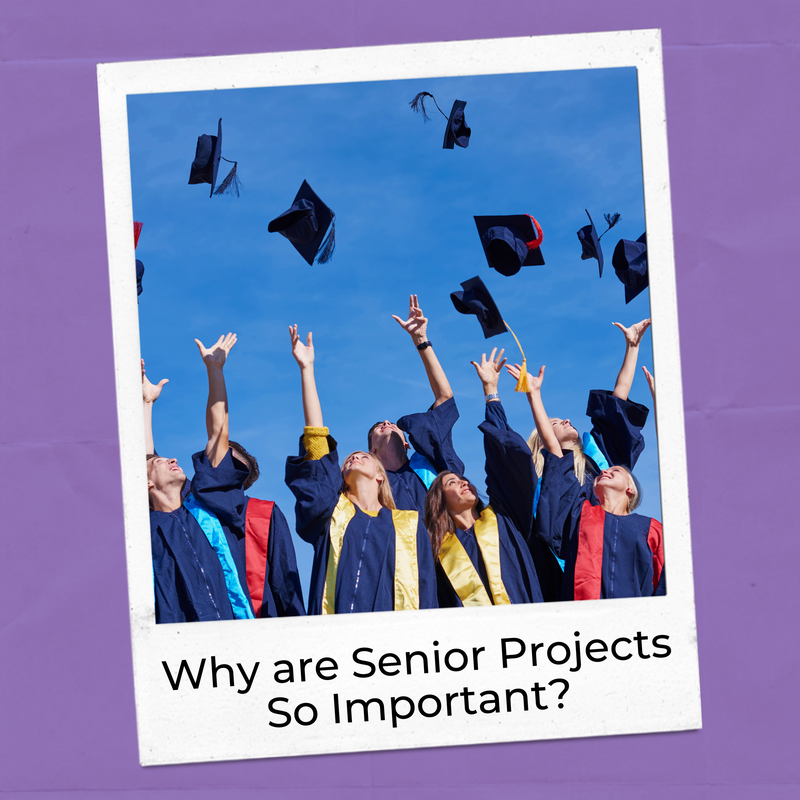Blog post on the benefits of the senior project ideas proposed in this post.